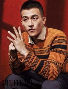 欧豪少年在线观看,青春记忆的在线重温