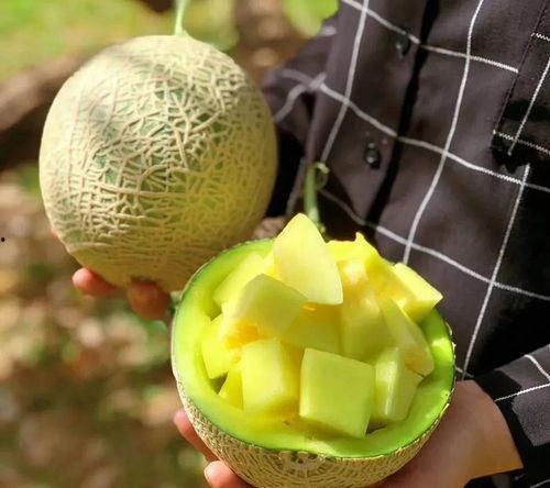 娱乐吃瓜甜,揭秘明星们的甜蜜生活